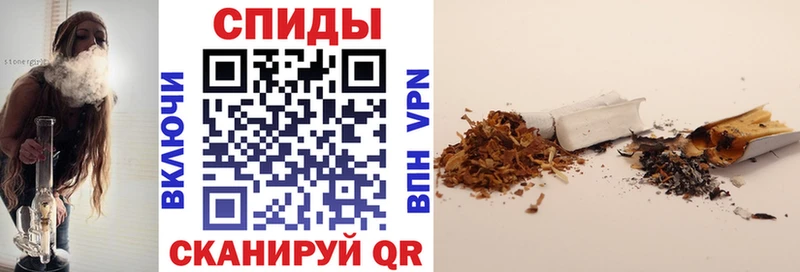 купить  цена  Мышкин  Бутират BDO 