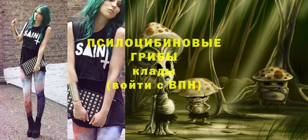 твердый Балахна