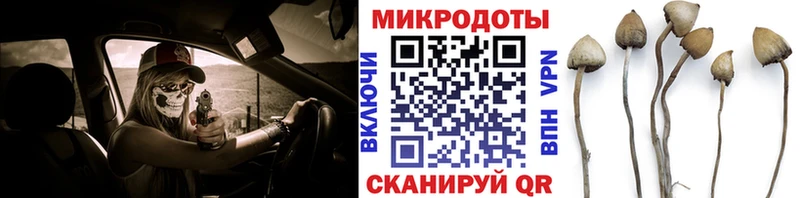 Галлюциногенные грибы мухоморы  Мышкин 